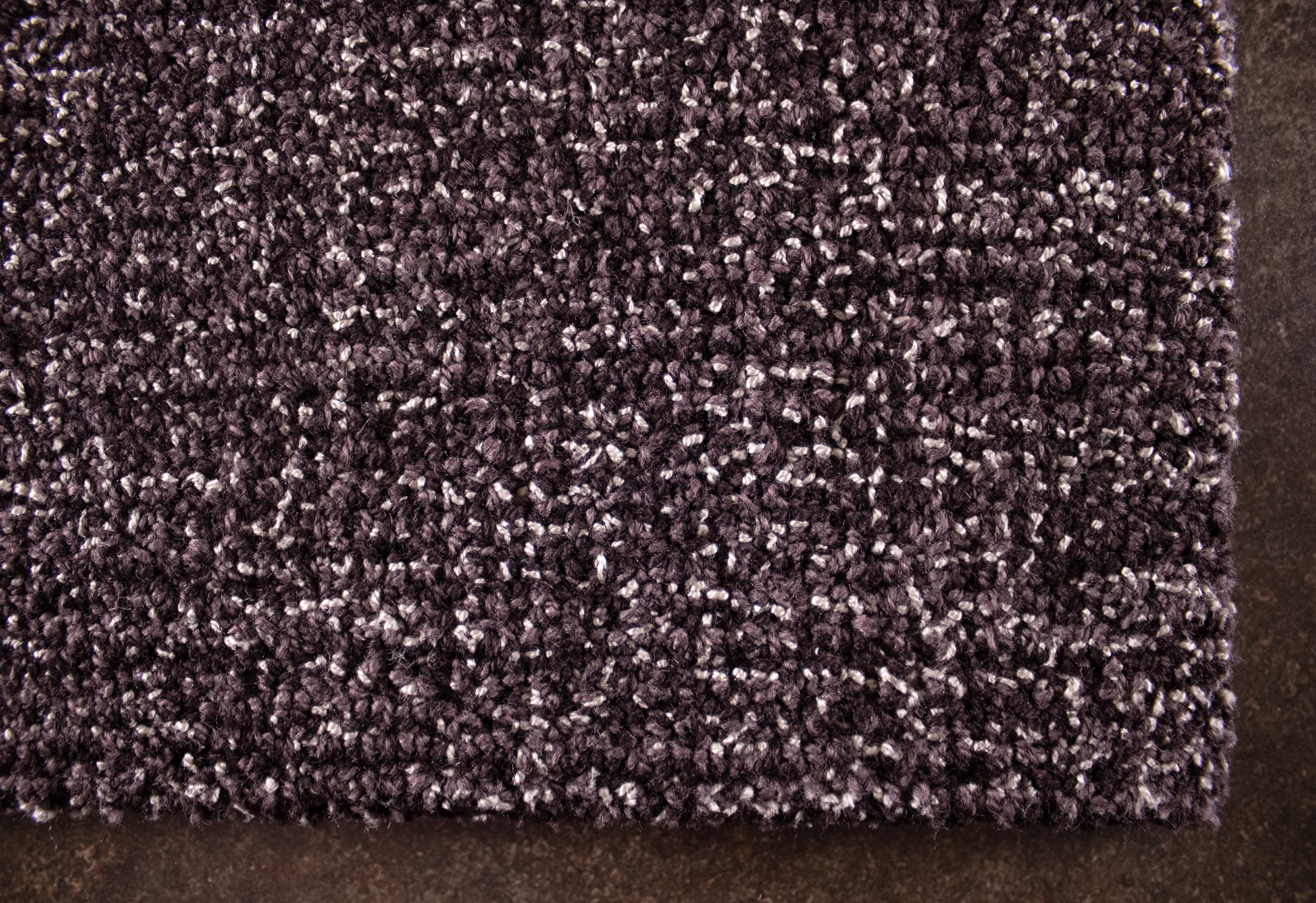 (QS) GR Focus B3 Detail